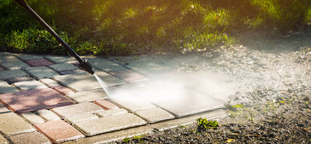 Best Gutter Cleaning  in Philadelphia, MS
