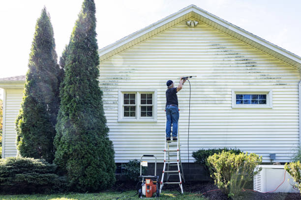 Best Residential Exterior Washing  in Philadelphia, MS